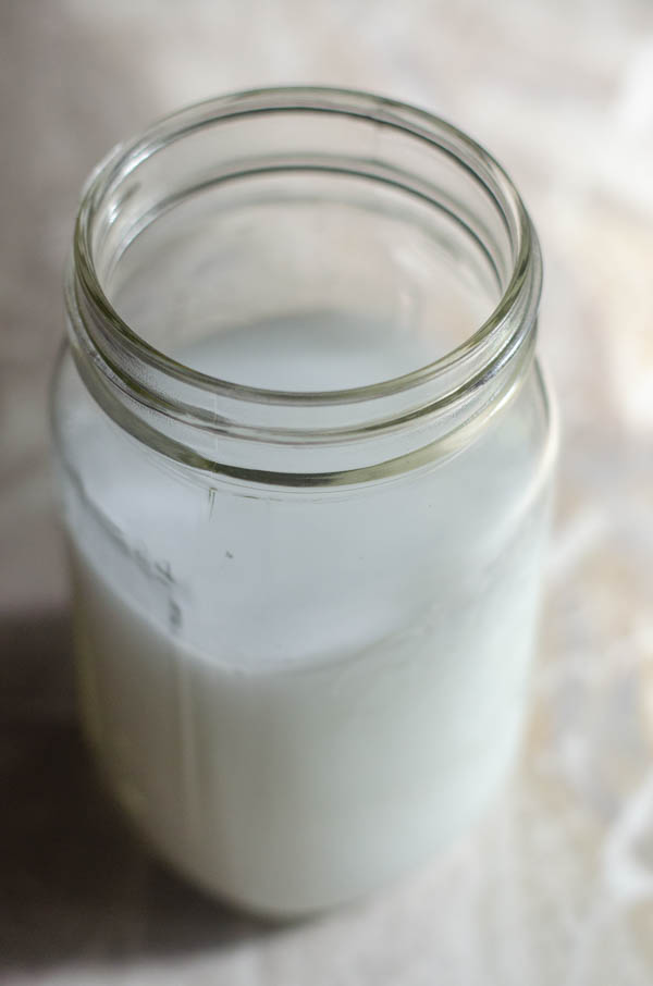 A delicious two-ingredient homemade coconut milk recipe, without any synthetic vitamins or additives! Keto, paleo, Whole30, vegan.