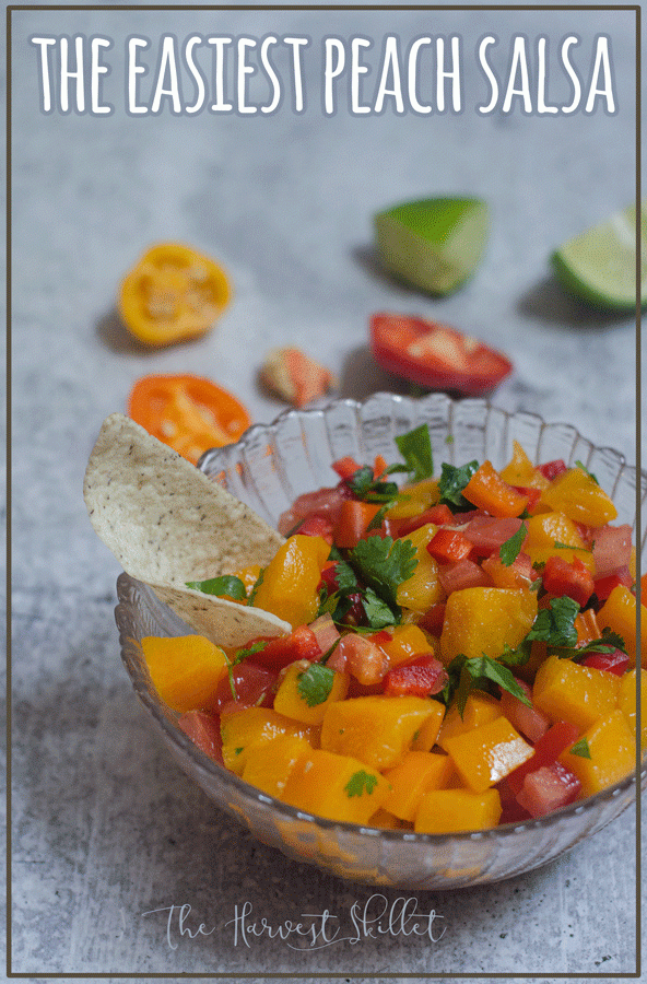 This recipe is the easiest peach salsa ever! Use diced peaches for a super quick and simple salsa that is ready in under 3 minutes. Paleo, vegan.
